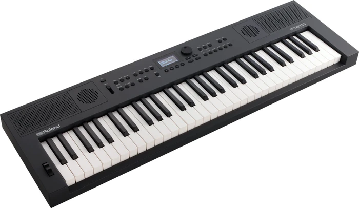 Roland Go:Keys 5 Graphite