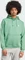 adidas Trefoil Essentials Hoodie preloved green (Herren) Vorschaubild