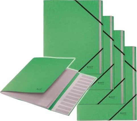 Leitz Ordnungsmappe Recycle, 12 Fächer, A4, grün
