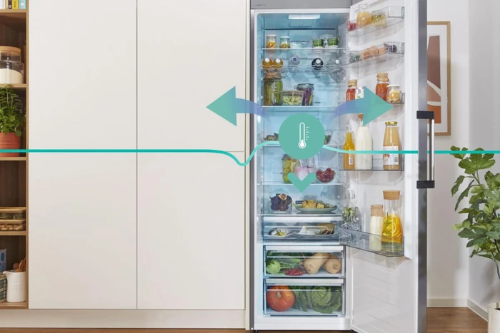 Gorenje R619CSXL6