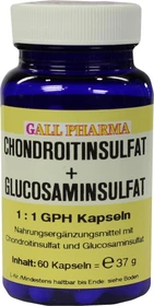 Chondroitinsulfat + Glucosaminsulfat 1:1 GPH Kapseln, 60 Stück