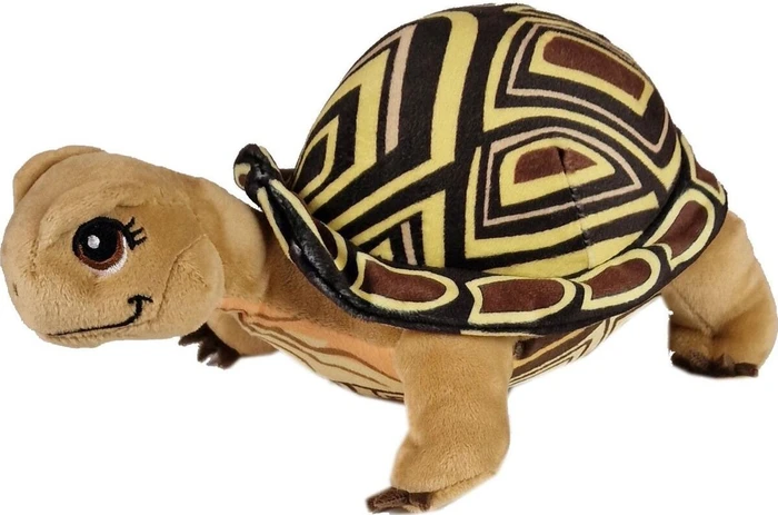 Heunec Die Schule der magischen Tiere Schildkröte Henrietta liegend 23cm
