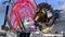 Bayonetta 2 - First Print Edition (WiiU) Vorschaubild