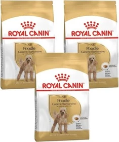 Royal Canin Pudel Adult, 500g