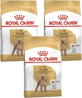 Royal Canin Pudel Adult, 500g