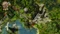 Defenders of Ardania (Download) (PC) Vorschaubild