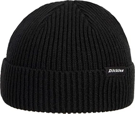 Dickies Woodworth Beanie schwarz