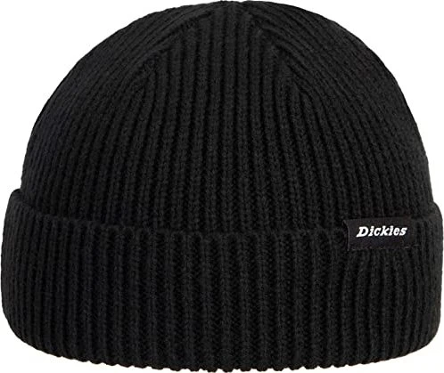 Dickies Woodworth Beanie schwarz
