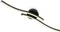 Briloner Rey LED Wand-/Deckenleuchte Vorschaubild