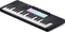 Novation Launchkey Mini 37 MK4 schwarz Vorschaubild