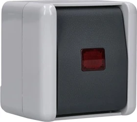 Jung WG 800 Wipp-Kontrollschalter 10AX 250V
