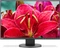 NEC MultiSync EA245WMi-BK, schwarz, 24" Vorschaubild
