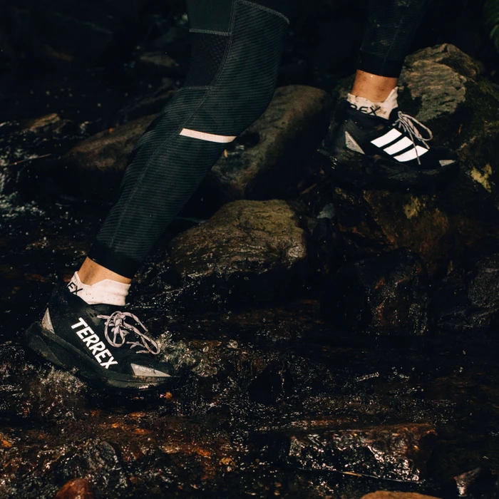 adidas Terrex Agravic GTX Trail core black/silver dawn/grey two (Damen)
