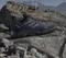 adidas Eastrail 2.0 Rain.RDY preloved violet/glory grey/tent green (Damen) Vorschaubild