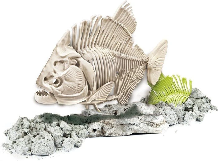 Clementoni Galileo Ausgrabungsset Prähistorischer Piranha fluoreszierend