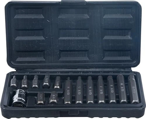 BGS technic Bitset inkl. Werkzeugbox, 15-tlg.