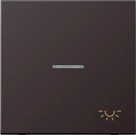 Jung Serie LS Wippe mit Lichtleiter Symbol Licht 1fach, dark