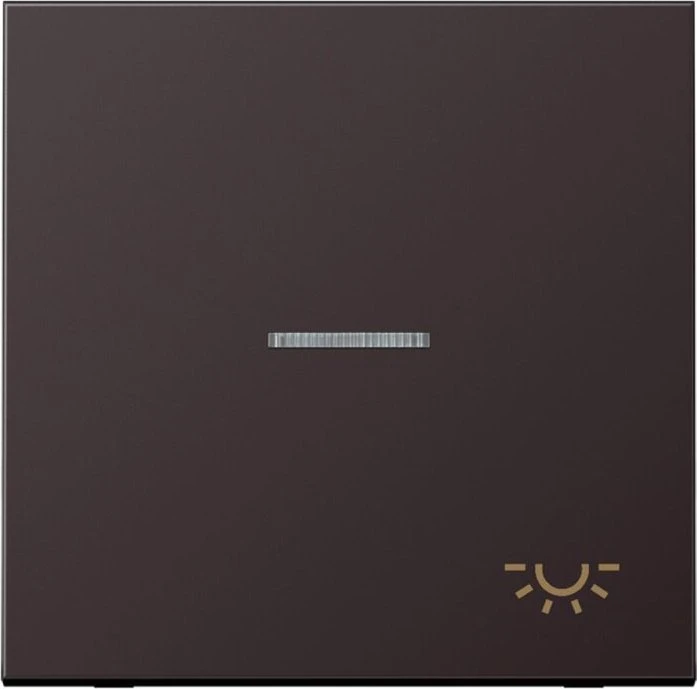 Jung Serie LS Wippe mit Lichtleiter Symbol Licht 1fach, dark
