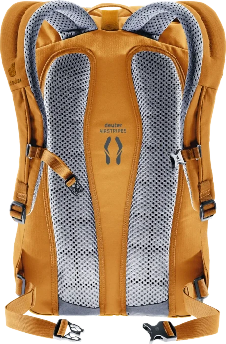 Deuter StepOut 22 amber/maple