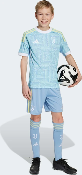adidas Juventus Turin 2025/2026 Auswärtsshorts ash blue (Junior)