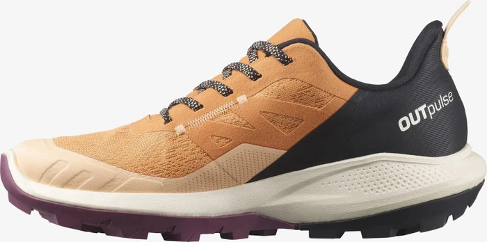 Salomon OUTpulse GTX apricot buff/black/tulipwood (Damen)