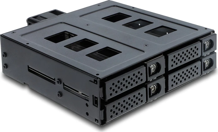 DeLOCK 5.25" Wechselrahmen, 4x 2.5" SATA/SAS