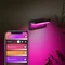 Philips Hue White and Color Ambiance Nyro Outdoor Wandleuchte Vorschaubild