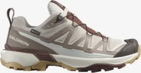 Salomon X Ultra 360 Edge GTX silver cloud/iron/rum raisin (Damen)