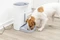 Trixie TX8 2.0 Smart Futterautomat, max. 4 Mahlzeiten pro Tag, Timer, Lautsprecher, 4.5l, weiß Vorschaubild