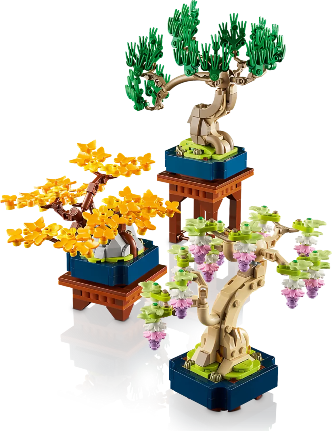 wie viel wasser braucht bambus Bambus Simba (Fargesia murieliae 'Simba') | 80-100 cm im Topf