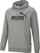 Puma Essentials Big Logo Hoodie (Herren) Vorschaubild