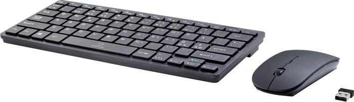 Renkforce RF-KMC-410 Funk-Tastatur-Maus-Set schwarz, TKL, USB, DE
