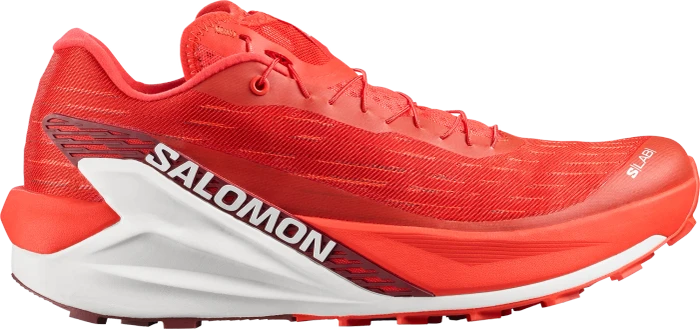 Salomon XA Pro 3D V9 dark gull gray/cloudburst/asphalt (Herren)