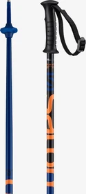 Salomon Kaloo Alpin Skistock blau (Junior) (Modell 2020/2021)