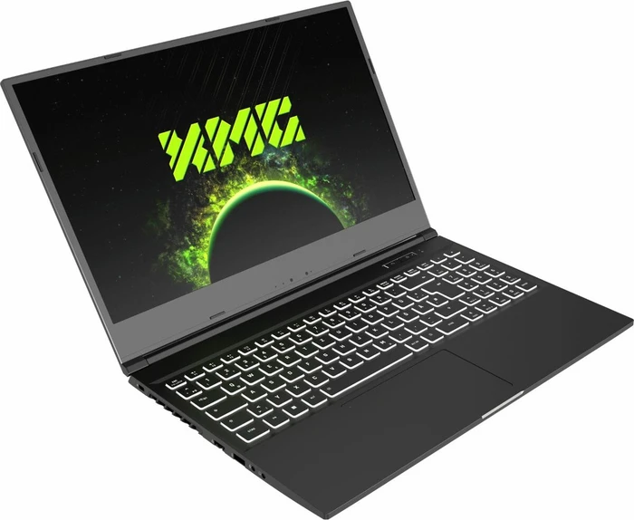 Schenker XMG Core 15-E20, Core i7-10750H, 8GB RAM, 250GB SSD, GeForce GTX 1650 Ti, DE