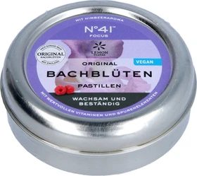Original Bachblüten No 41 Focus Pastillen, 50g