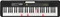 Casio LK-S250 Vorschaubild