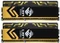 Avexir Blitz 1.1 ECS LEET Gold UDIMM 16GB Kit, DDR3-2400, CL10-12-12-31 Vorschaubild