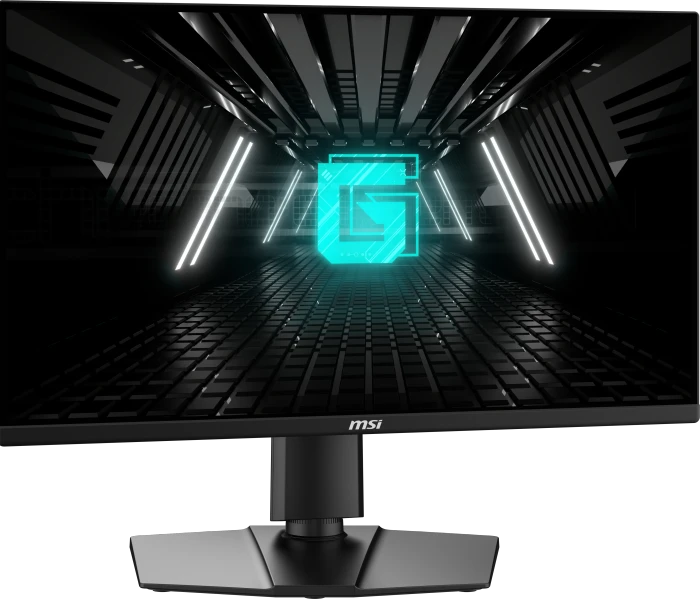 MSI G255PFDE E2, 24.5"