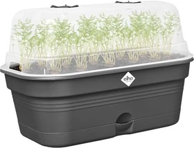 Elho Green Basics All-In-1 32x18cm living schwarz