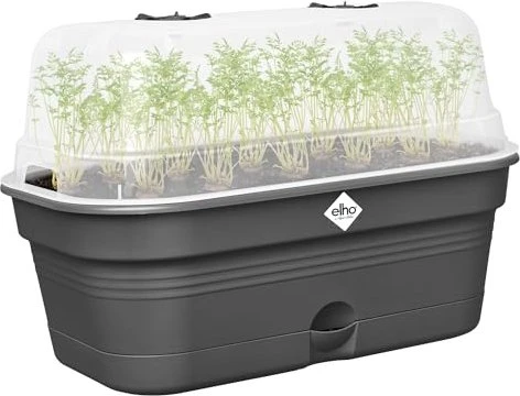 Elho Green Basics All-In-1 32x18cm living schwarz