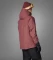 adidas Terrex Multi 2L Rain.RDY Funktionsjacke burgundy (Damen) Vorschaubild