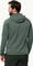 Jack Wolfskin Alpgrat Pro Ins Fz Funktionsjacke hedge green (Herren) Vorschaubild