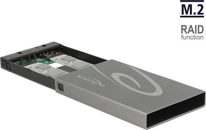 DeLOCK 2x M.2 SSD, USB-C 3.1