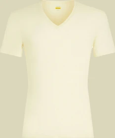 Icebreaker Anatomica V Funktionsshirt kurzarm undyed (Herren)
