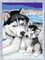 Ravensburger Malen nach Zahlen Husky Kuss Vorschaubild