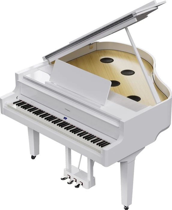 Roland GP-9 schwarz