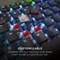 Turtle Beach Vulcan II, schwarz, LEDs RGB, TITAN II RED, USB, DE Vorschaubild