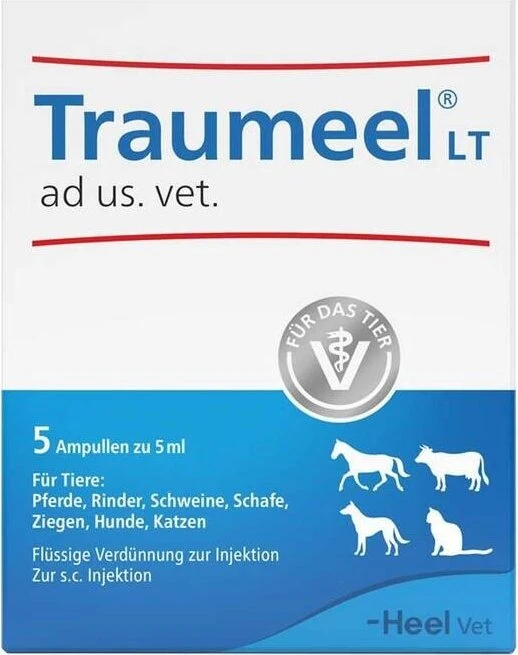 5 Stück