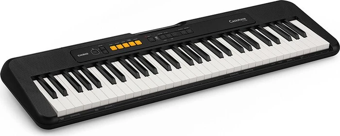Casio CT-S100